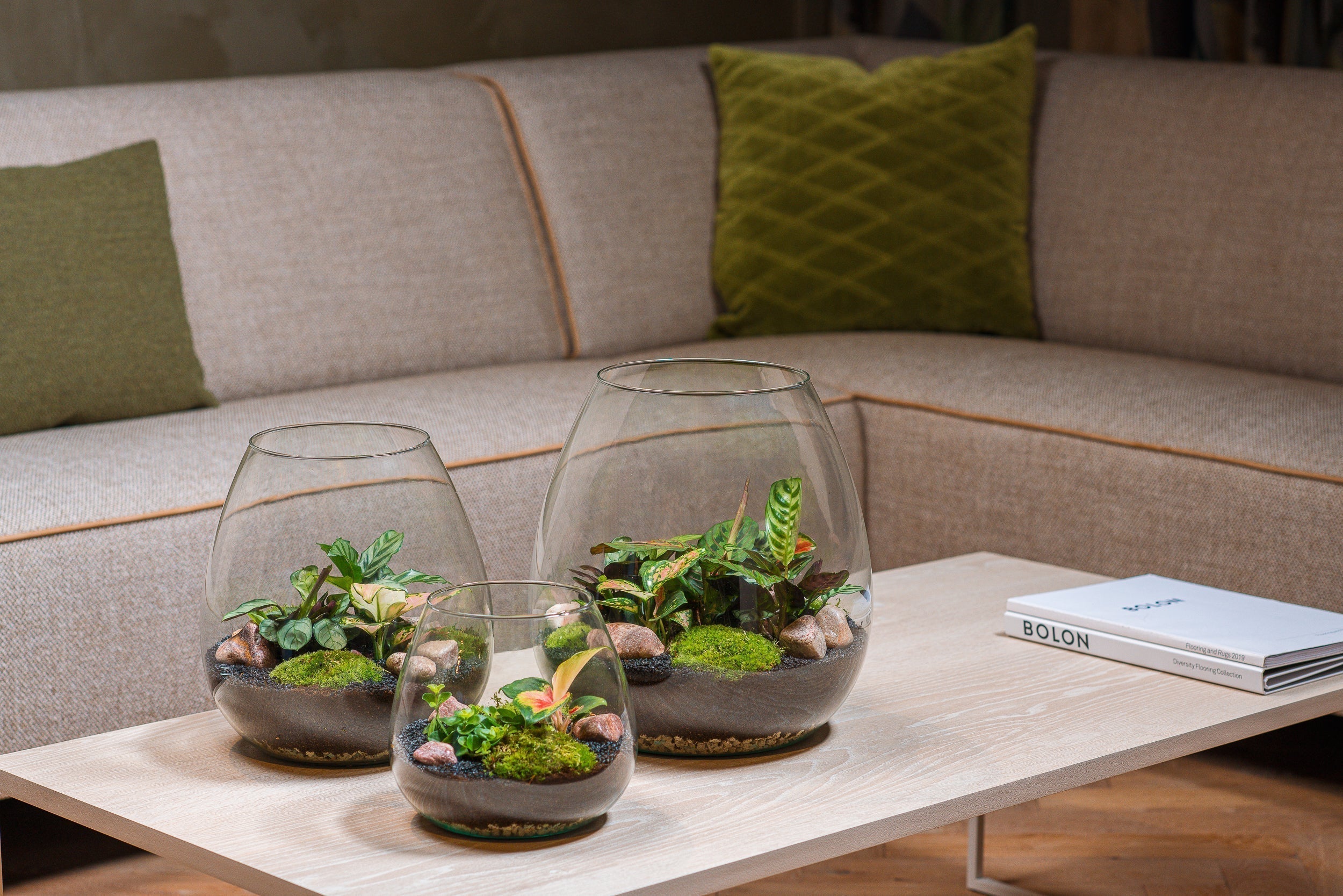 verzorging terrarium