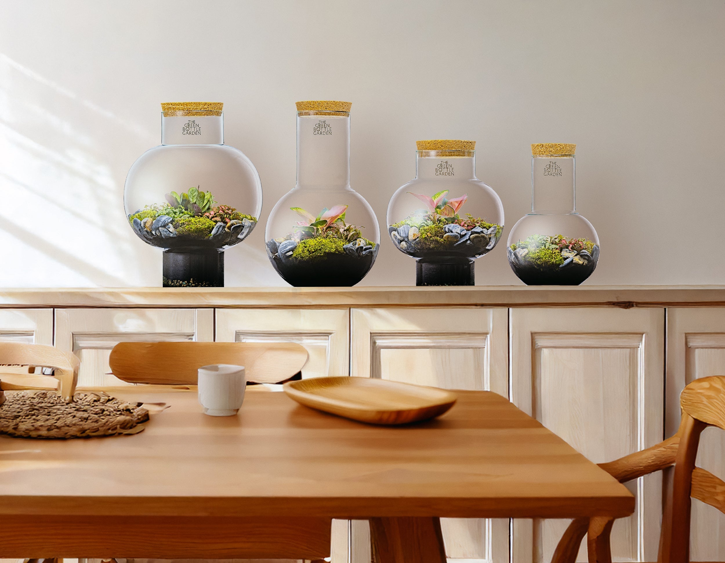 Terrarium gaat dood? 10 oorzaken én oplossingen