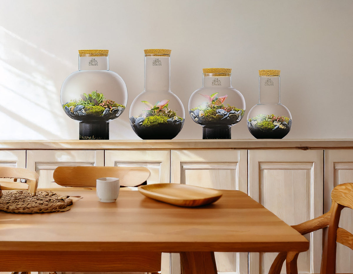 Terrarium gaat dood? 10 oorzaken én oplossingen