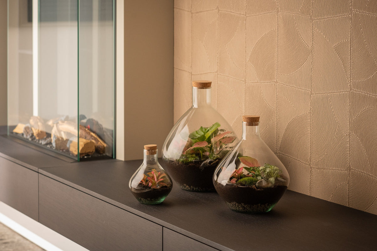 Terrariums voor elke ruimte