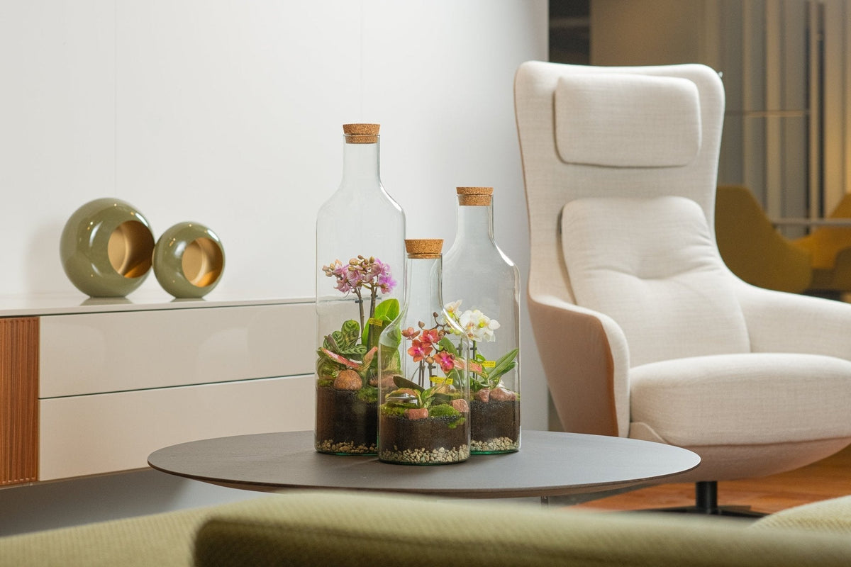 Unieke kamerplant designs van The Green Bottle Garden