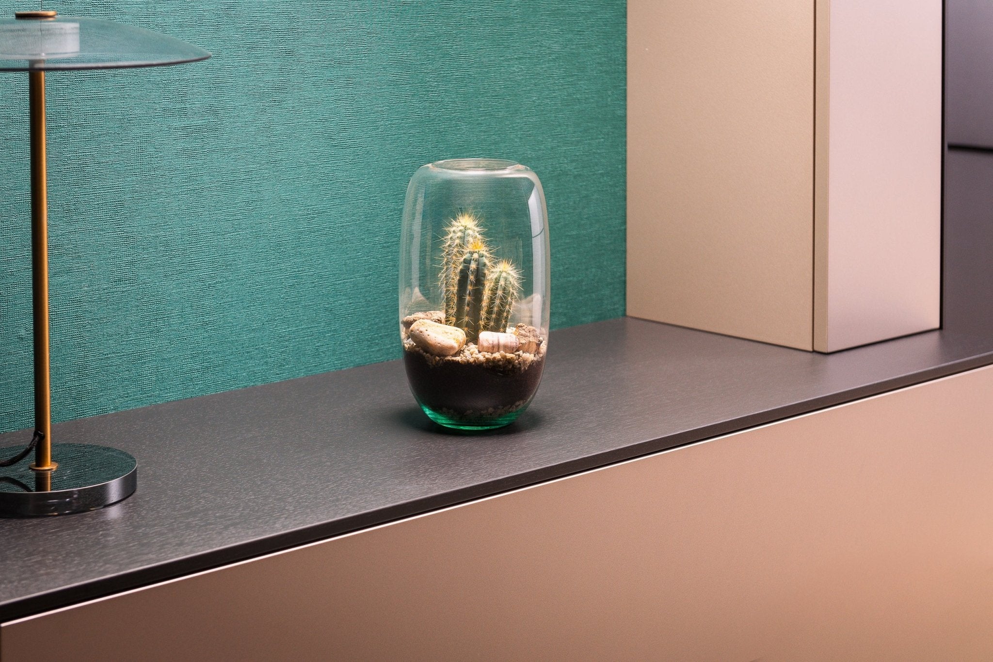Cactus Terrarium: een groene oase in je huis - The Green Bottle Garden