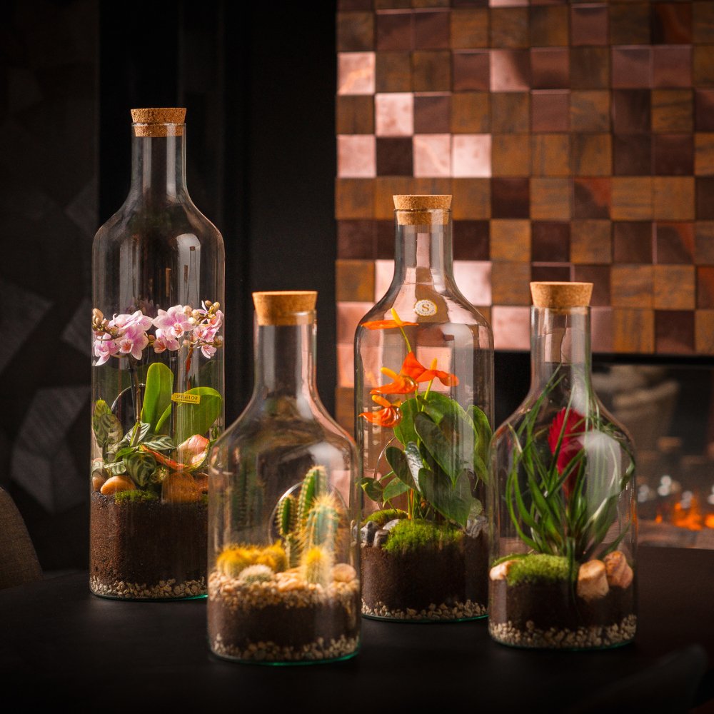 Uniek Cadeau, waarom het terrarium het planten Cadeau is