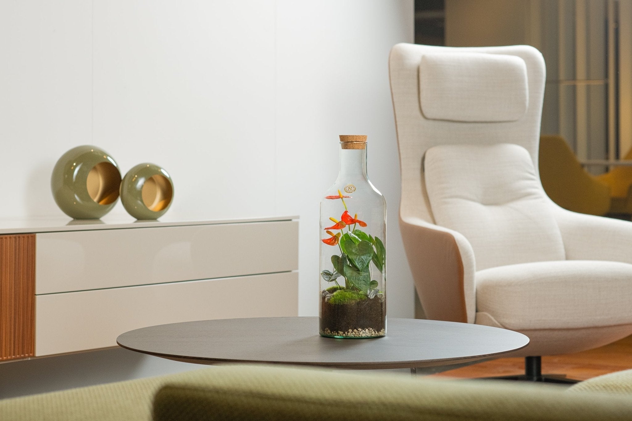 Hoe je het beste een Anthurium plant kunt verzorgen - The Green Bottle Garden