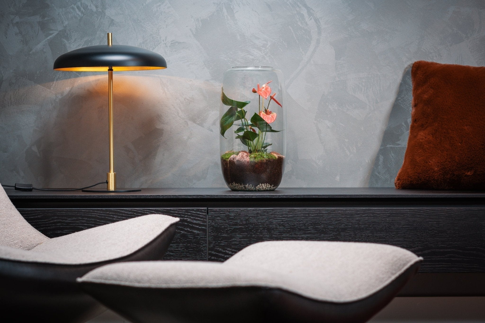 Planten voor donkere plekken in huis: jouw groene oplossing - The Green Bottle Garden