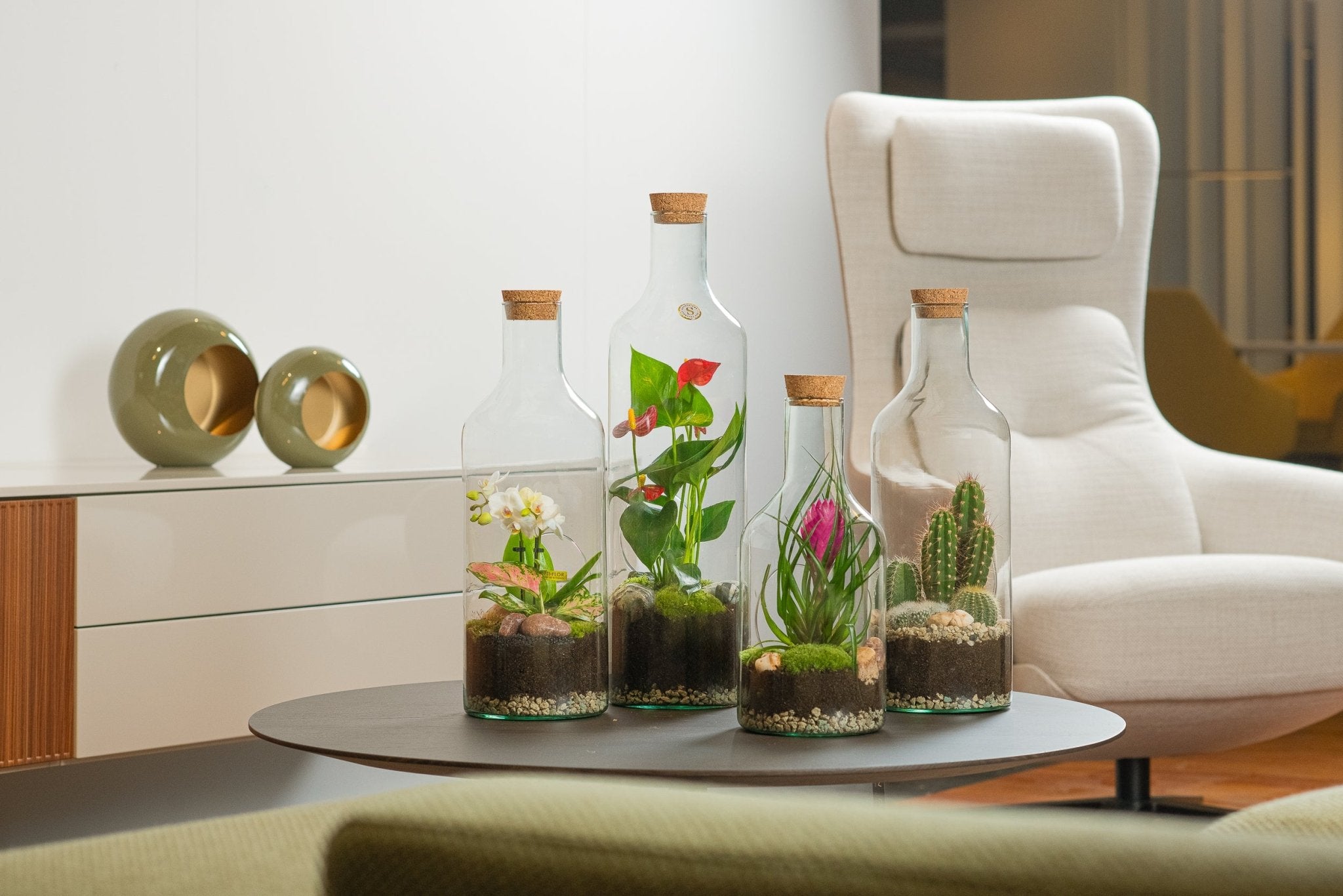 Buy plants in bottles? | Green Bottle sustainable green in glass
