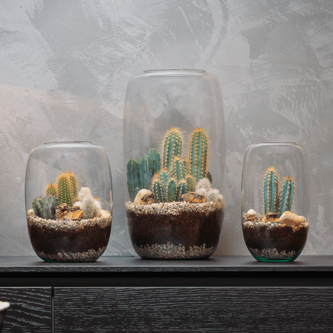 cactus plant flea market air force Air Force 1 Cactus Plant Flea Market Red Air & Blue Sunshine White