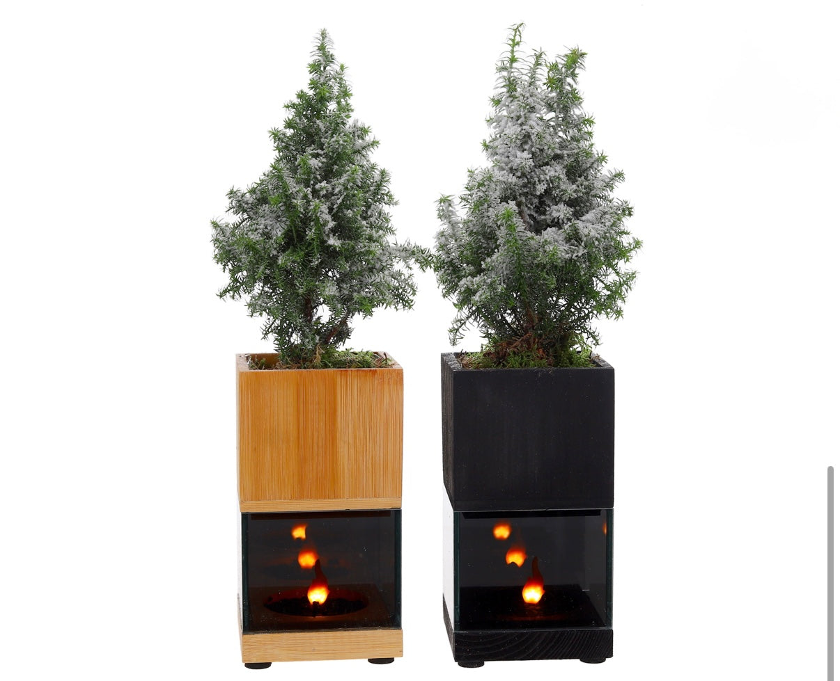 kerstboompje met vlam-led in houten planter
