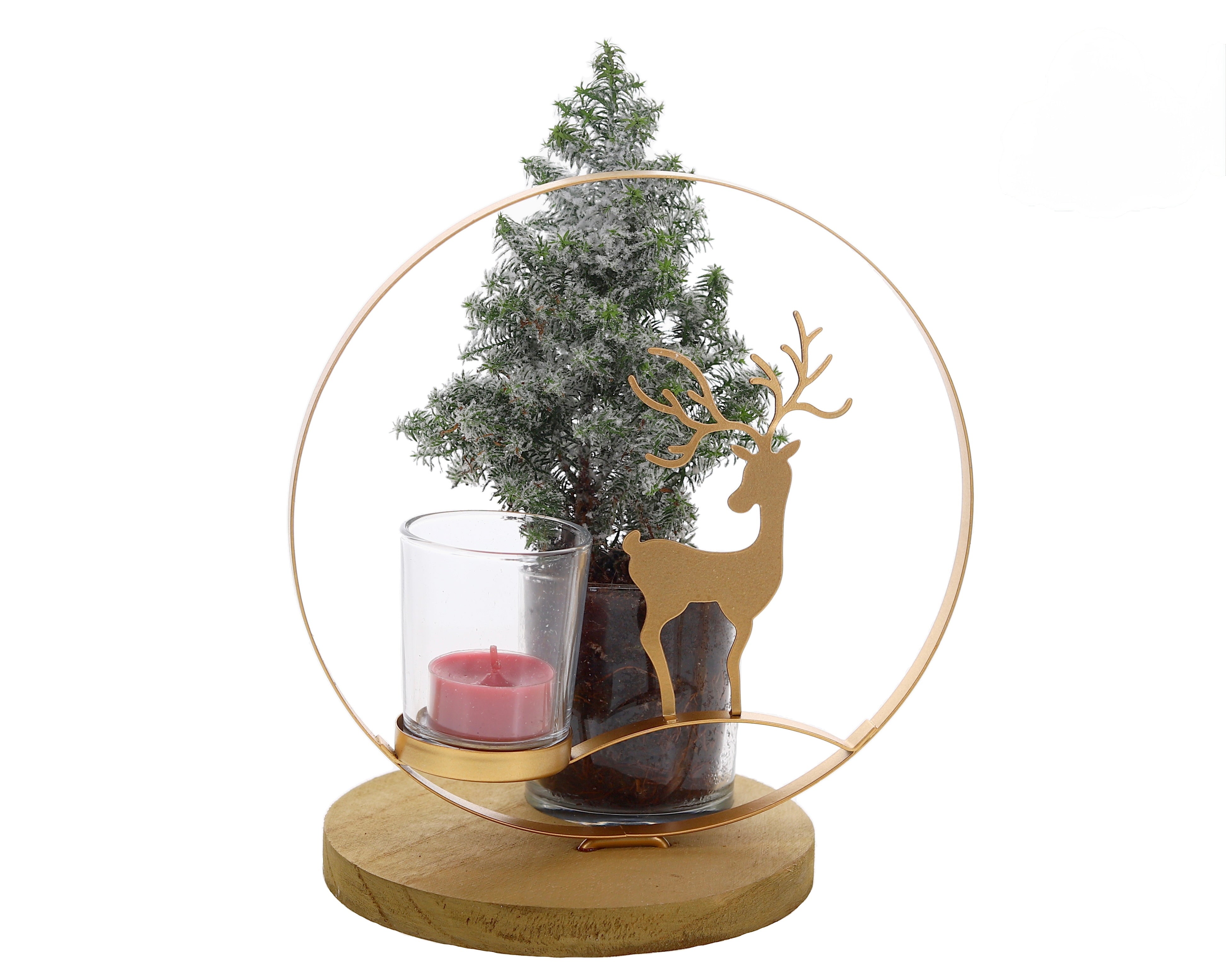 Fusionscents Christmas Deer