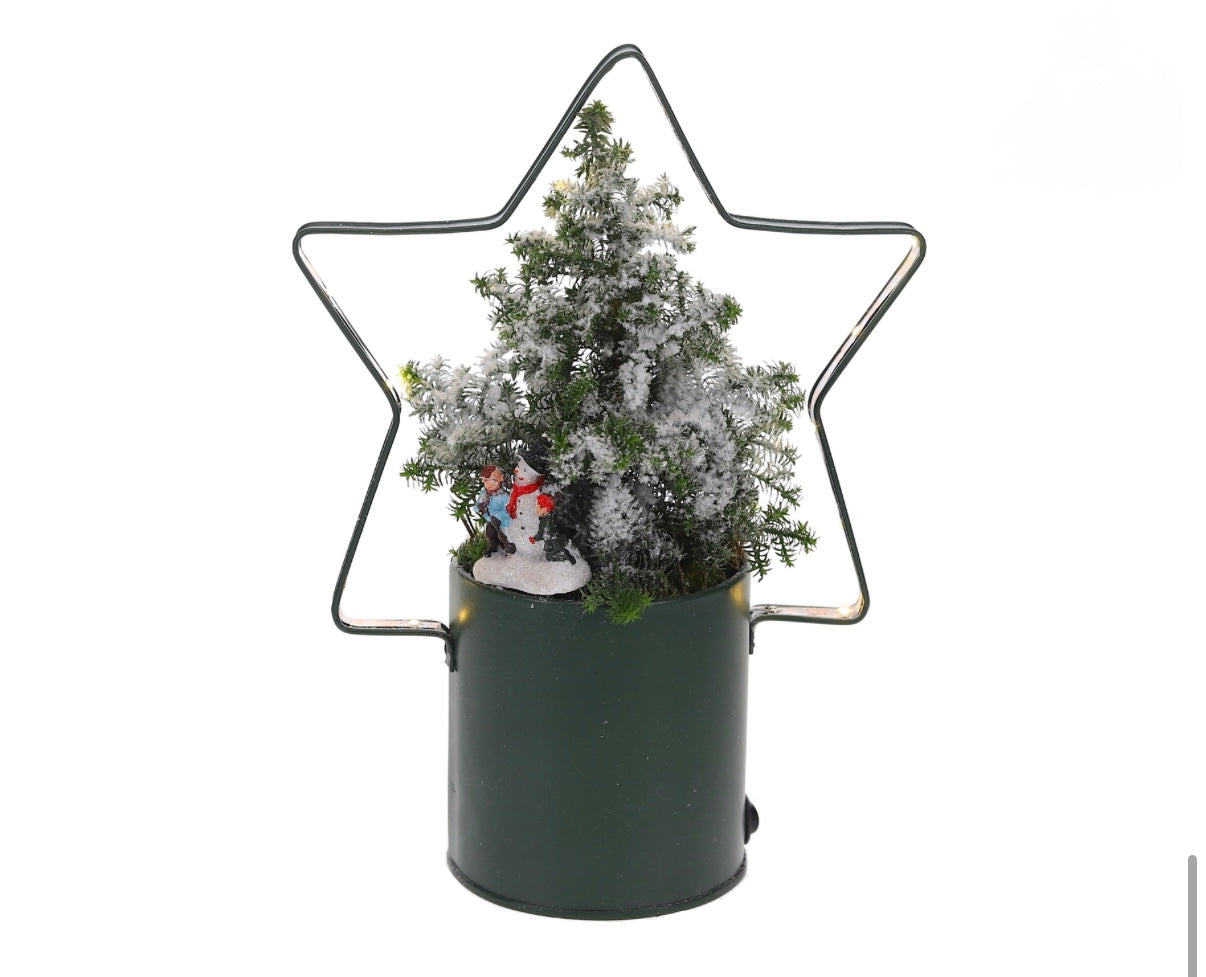 Lighting Star met Kerstboom