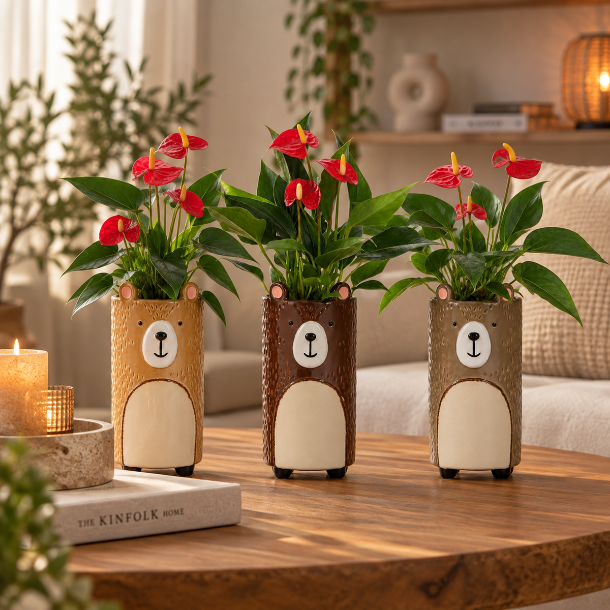 Anthurium in Ceramic Bear