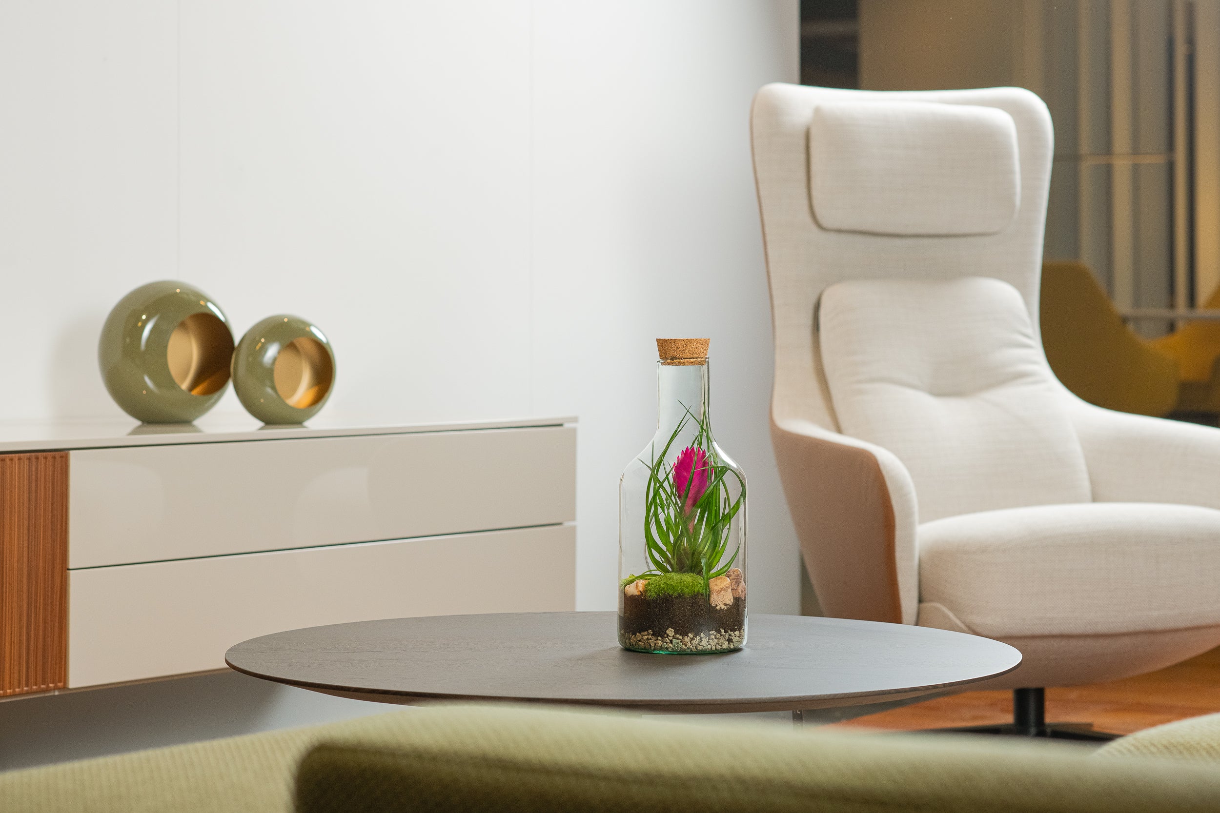 Bromelie in offener Terrarienflasche