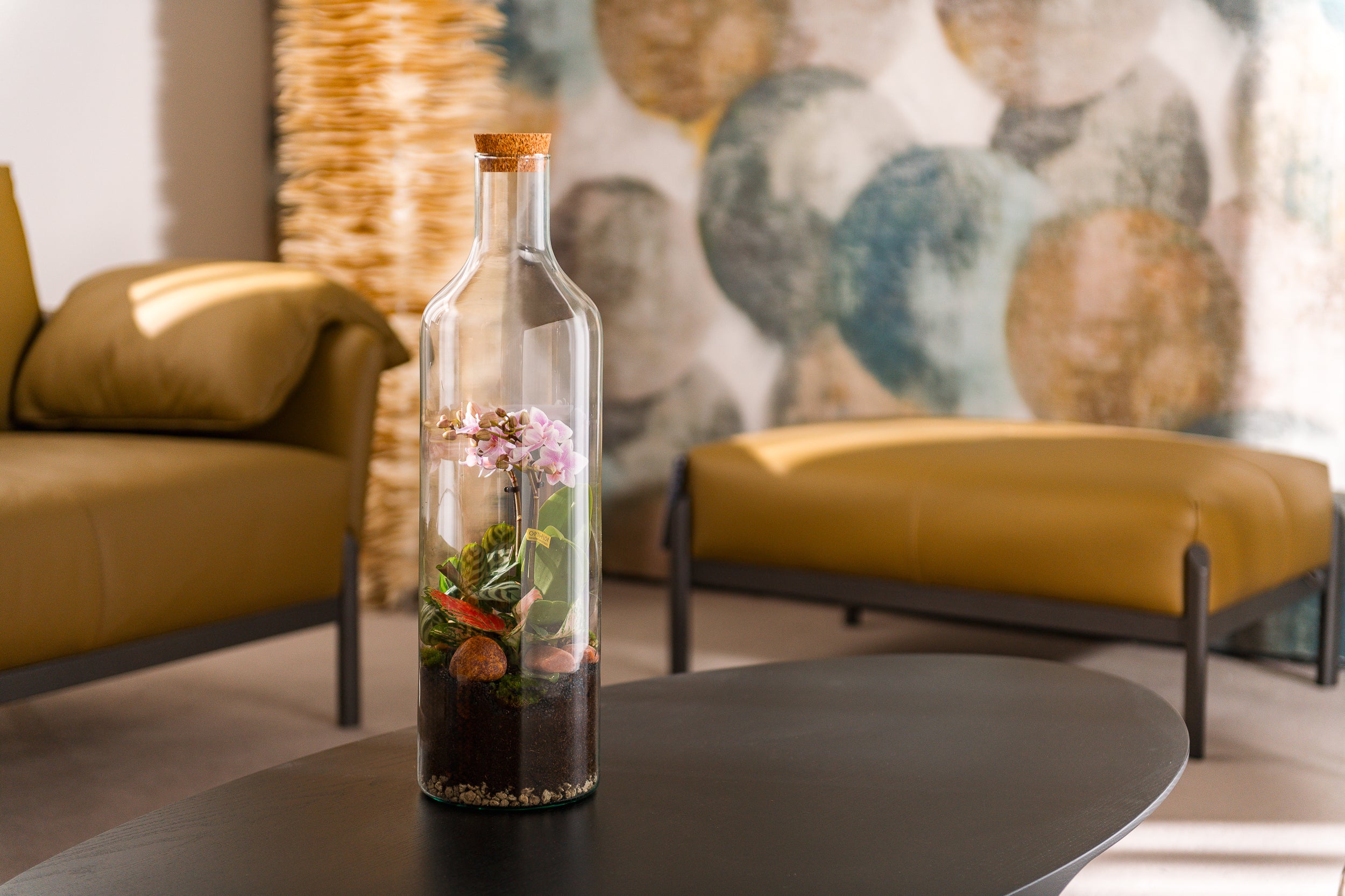 Orchidee in open Terrarium Bottle