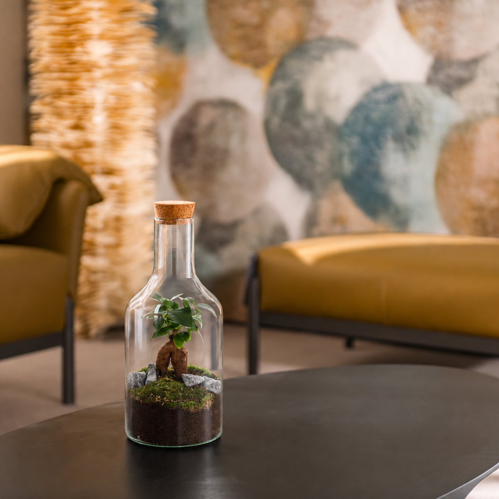 Bonsai boom in glas