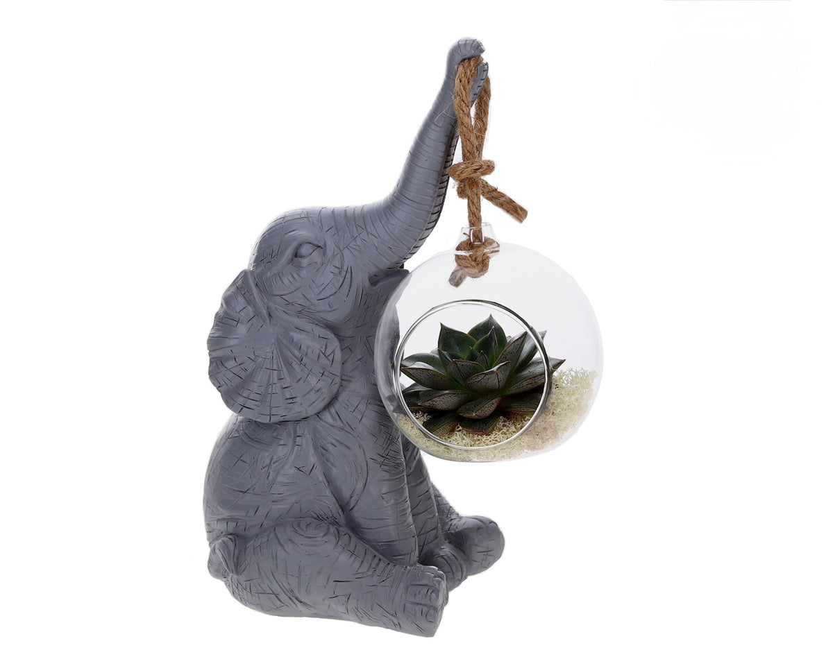 Grijs olifant