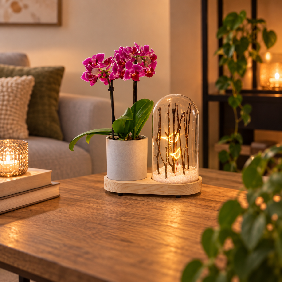 Phalaenopsis in Lighting Snow Forest
