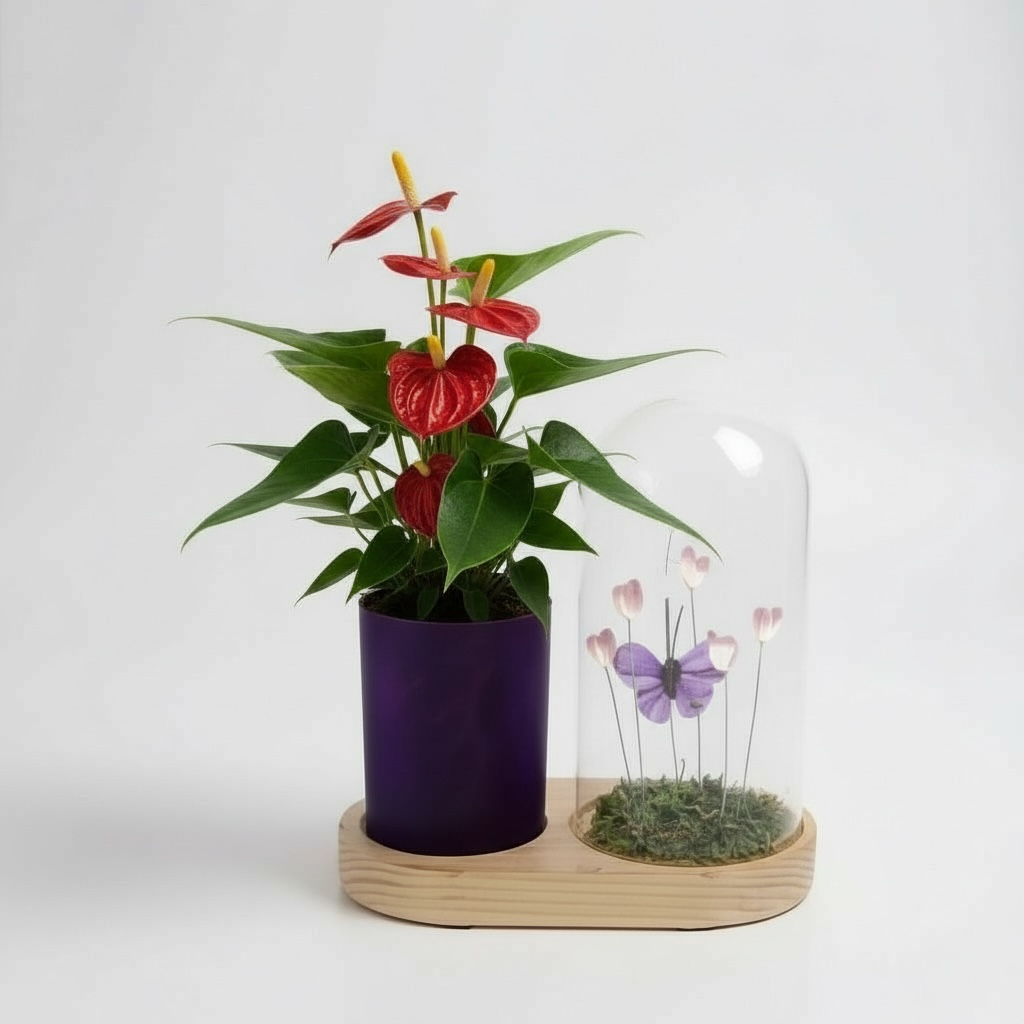 Rood Anthurium in lichtplantje flower