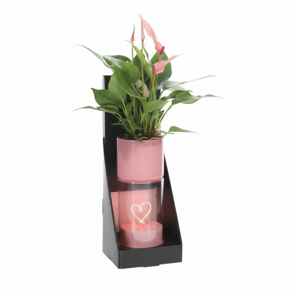 Roze lichtplantje met led hart en roze anthurium
