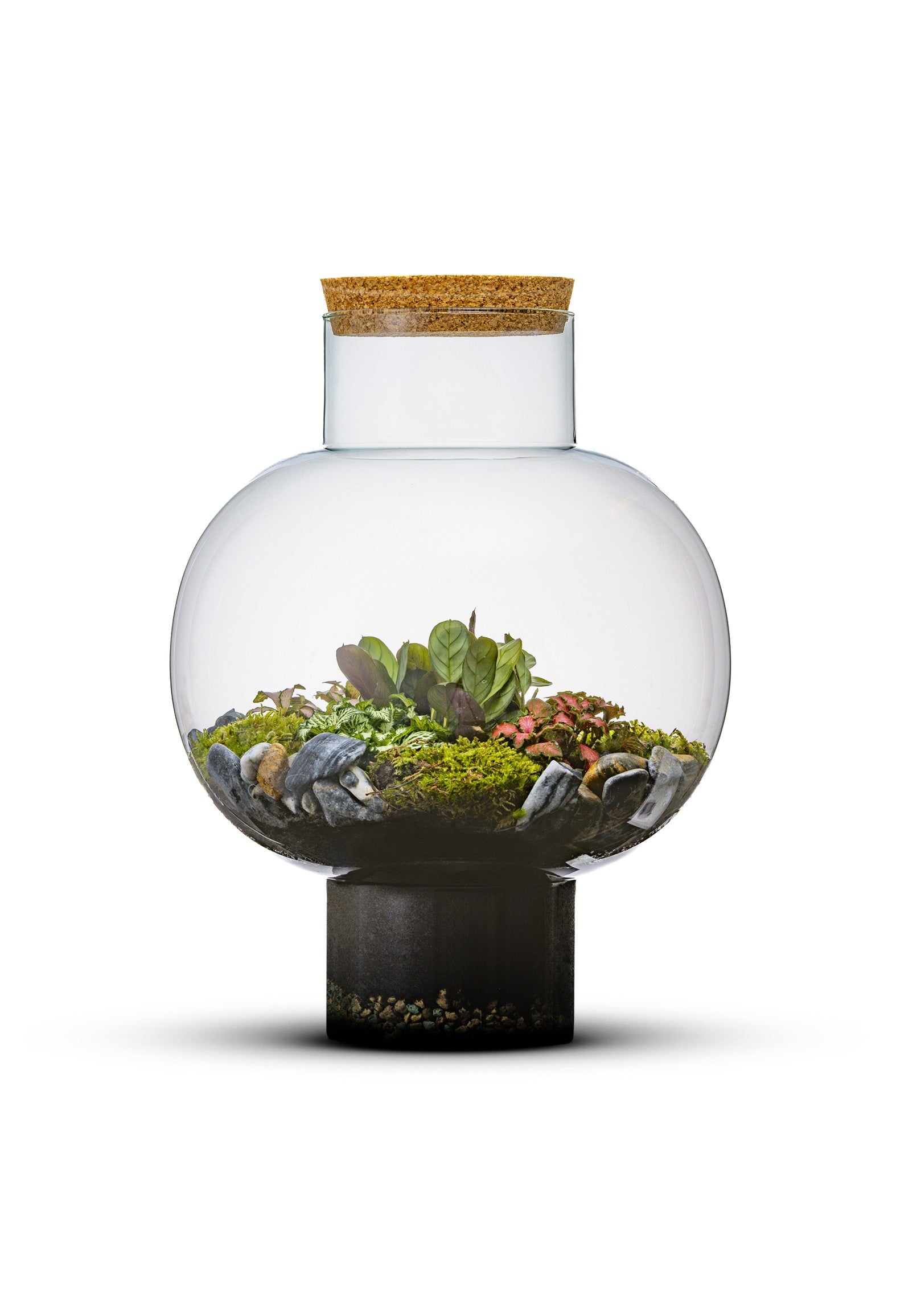 Terrarium gesloten laura, Ecosysteem