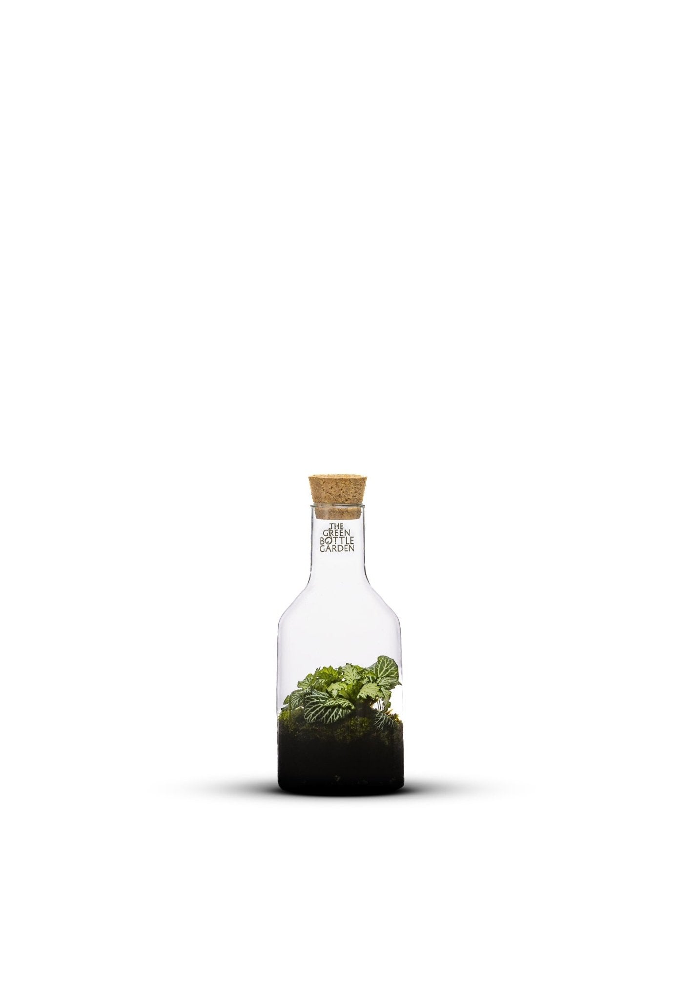 Bottle Jungle - The Green Bottle Garden