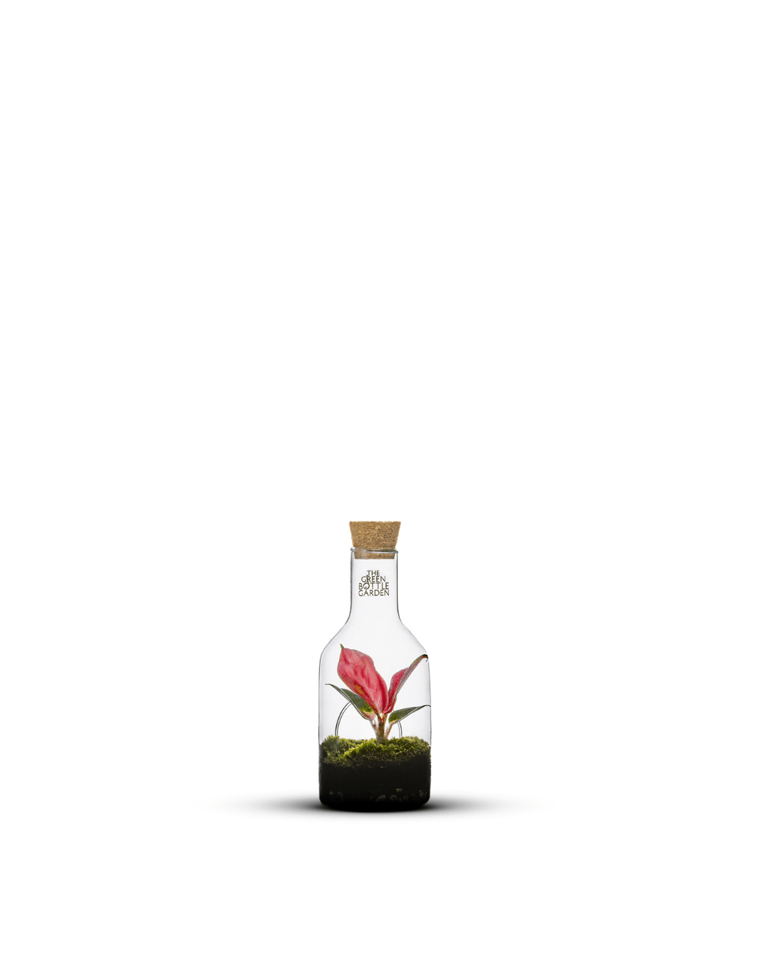 Bottle Jungle - The Green Bottle Garden