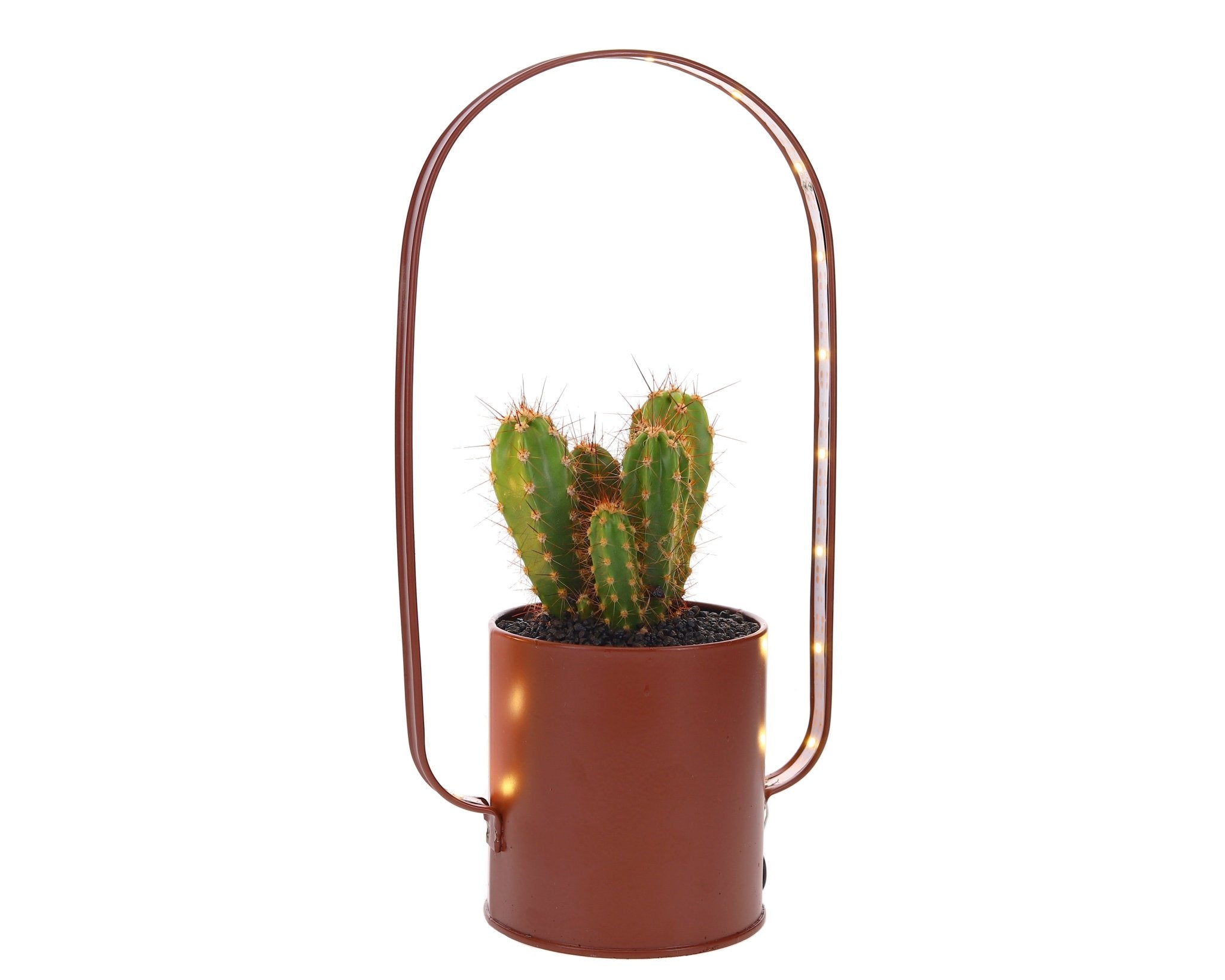 Cactus Lighting zink - The Green Bottle Garden