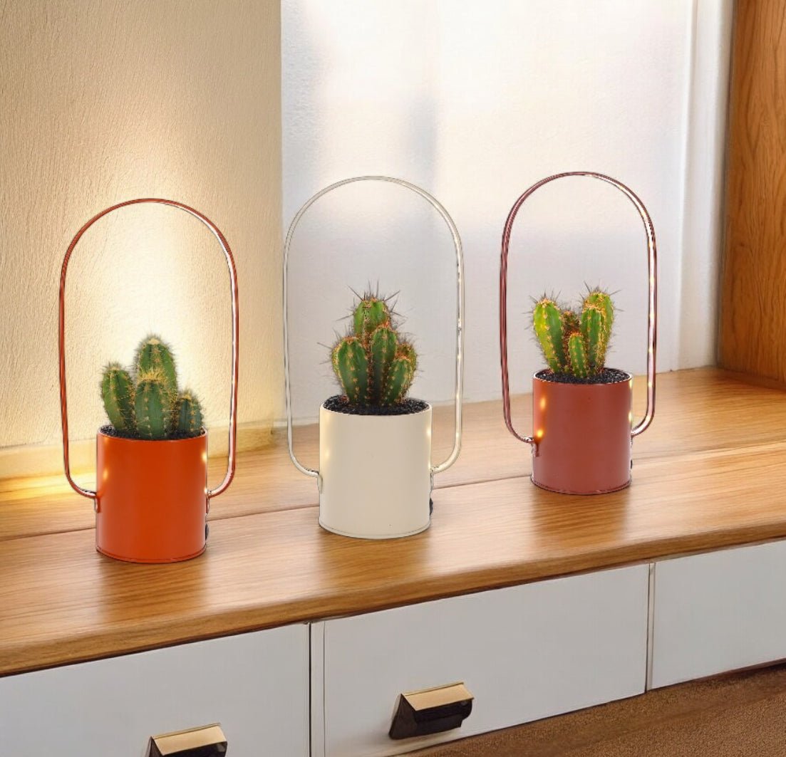 Cactus Lighting zink - The Green Bottle Garden