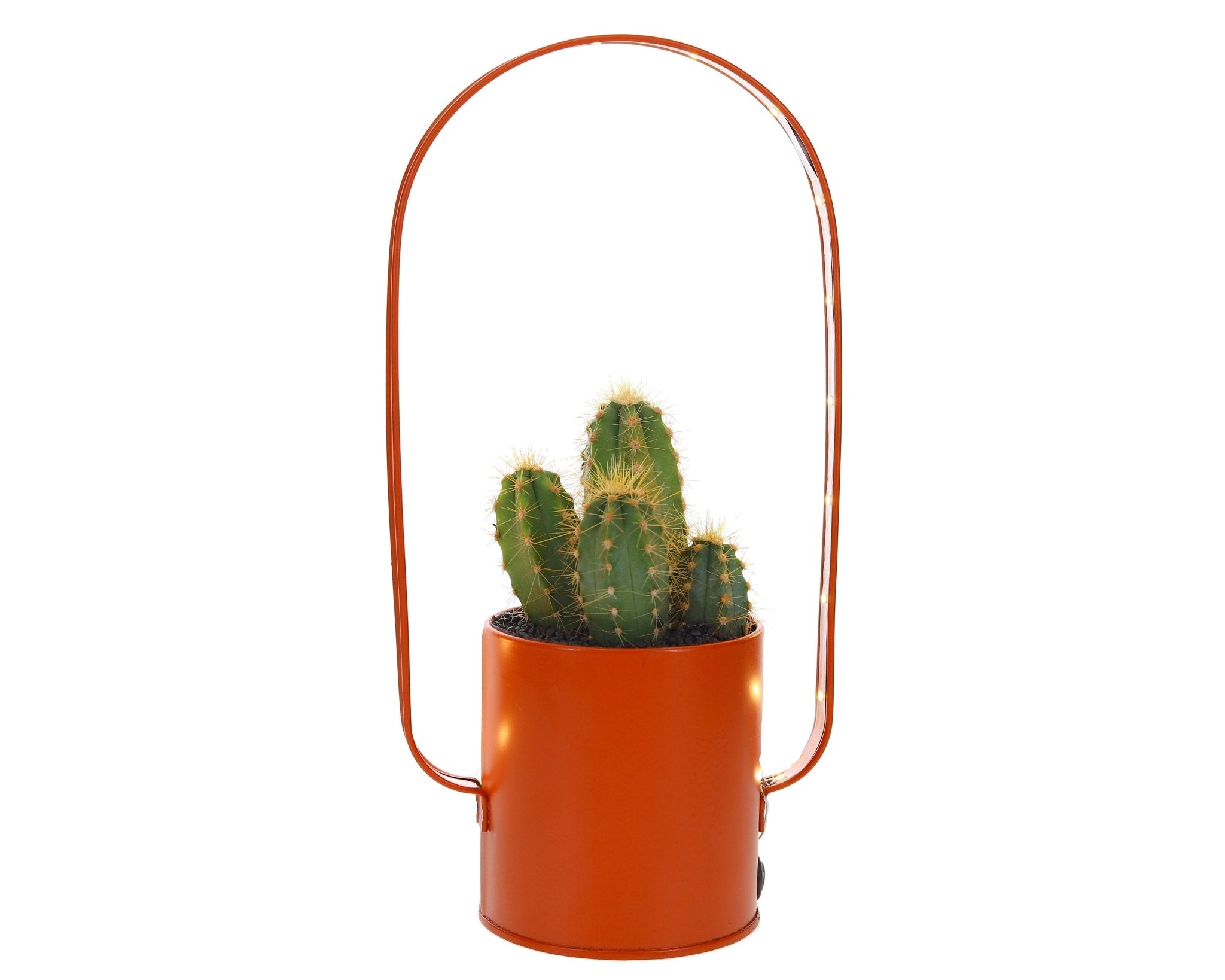 Cactus Lighting zink - The Green Bottle Garden