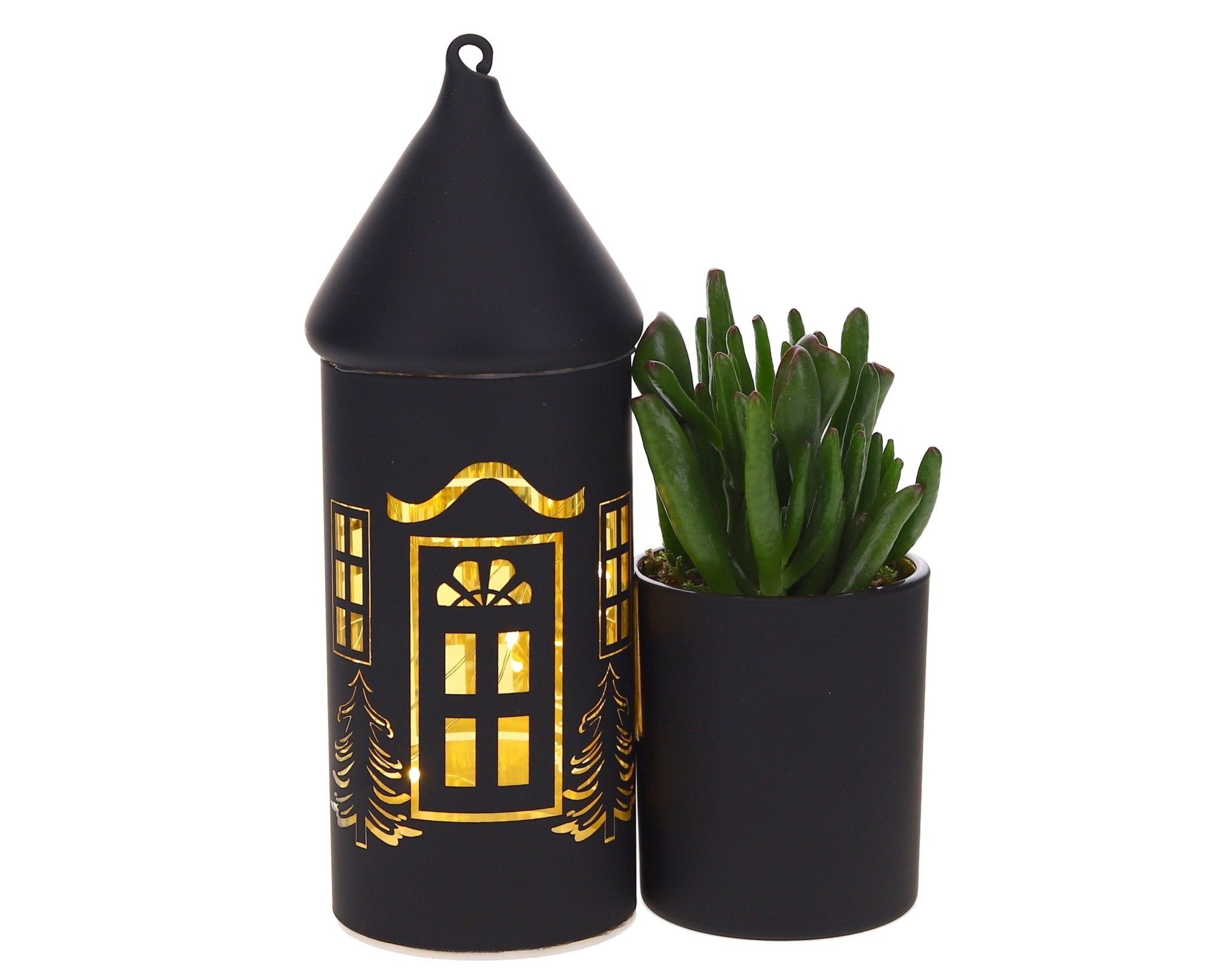 Crassula in Lighting huisje - The Green Bottle Garden