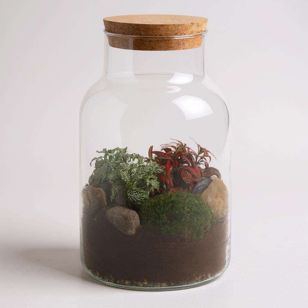 gesloten terrarium jona