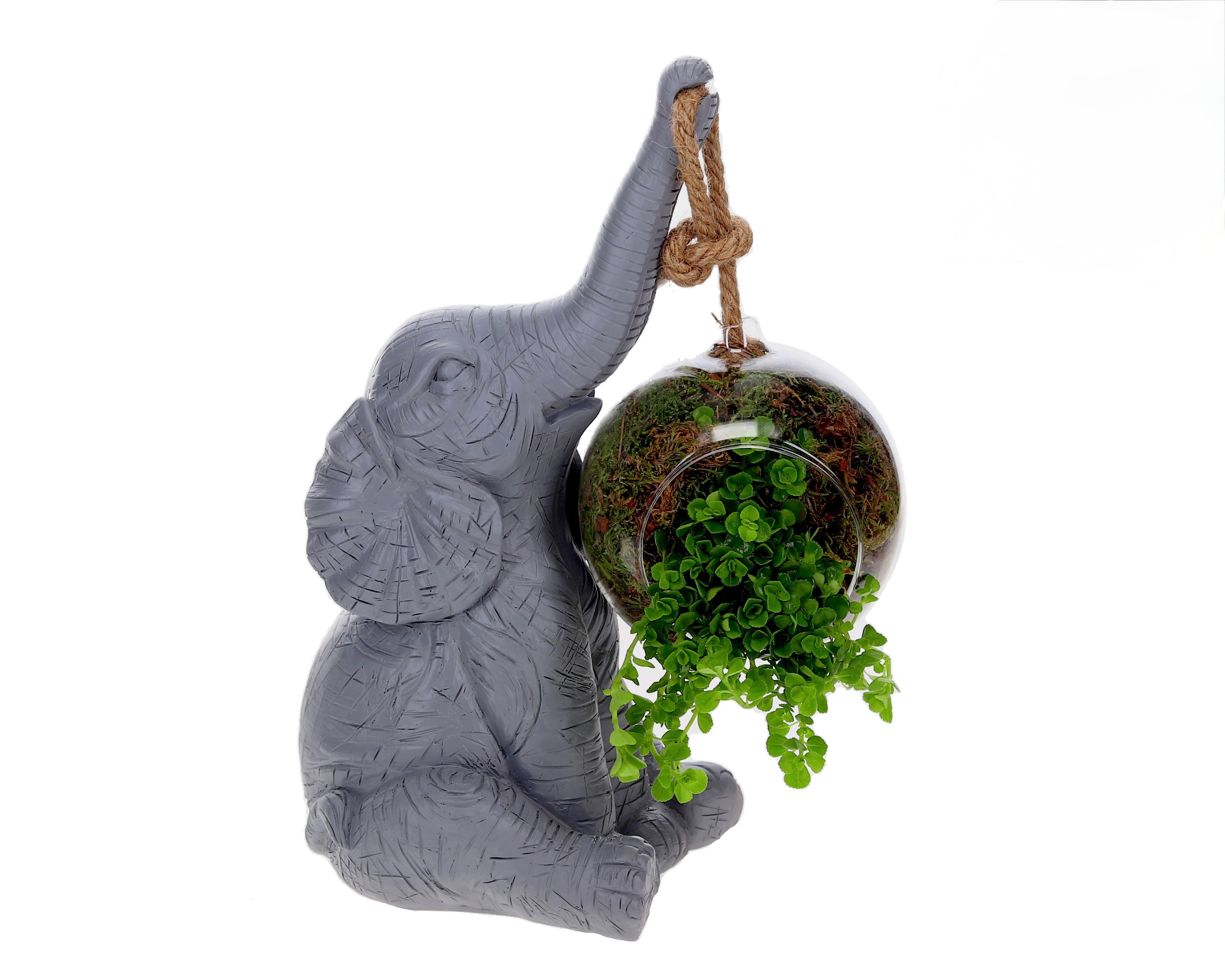 grijs olifant pilea