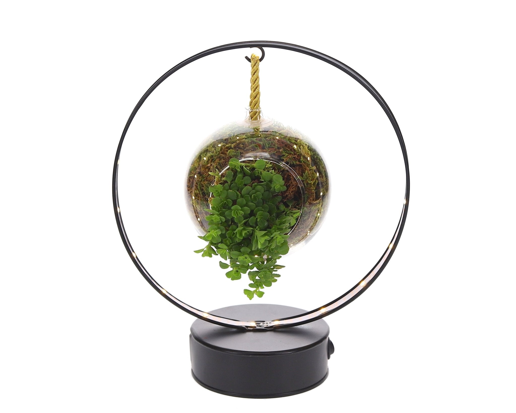 Lighting boog green – hangend groenobject met licht - The Green Bottle Garden