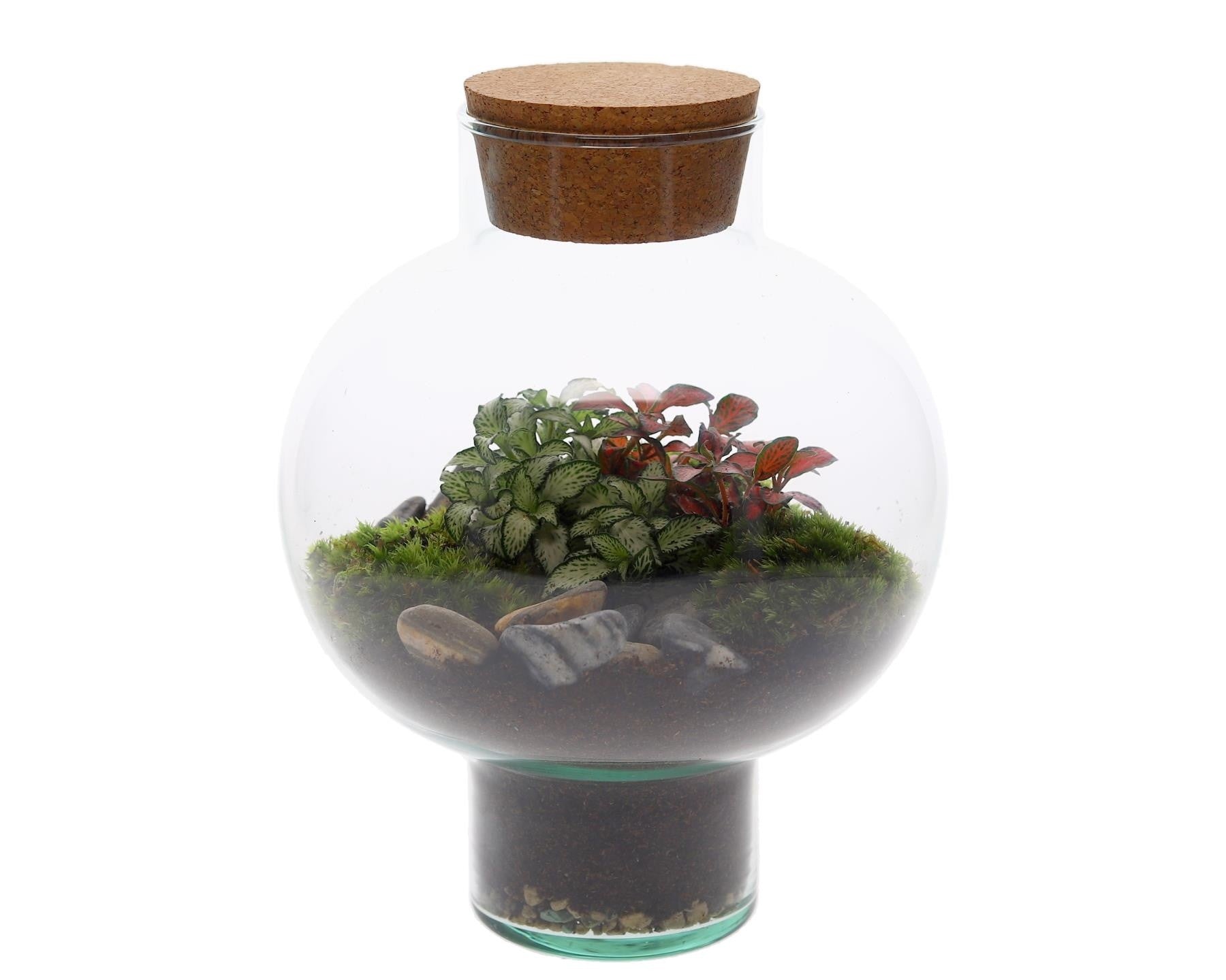 mini ecosysteem Laura s