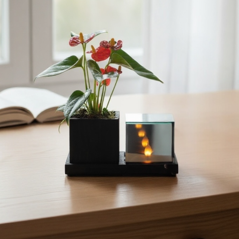 planter anthurium met vlam led verlichting