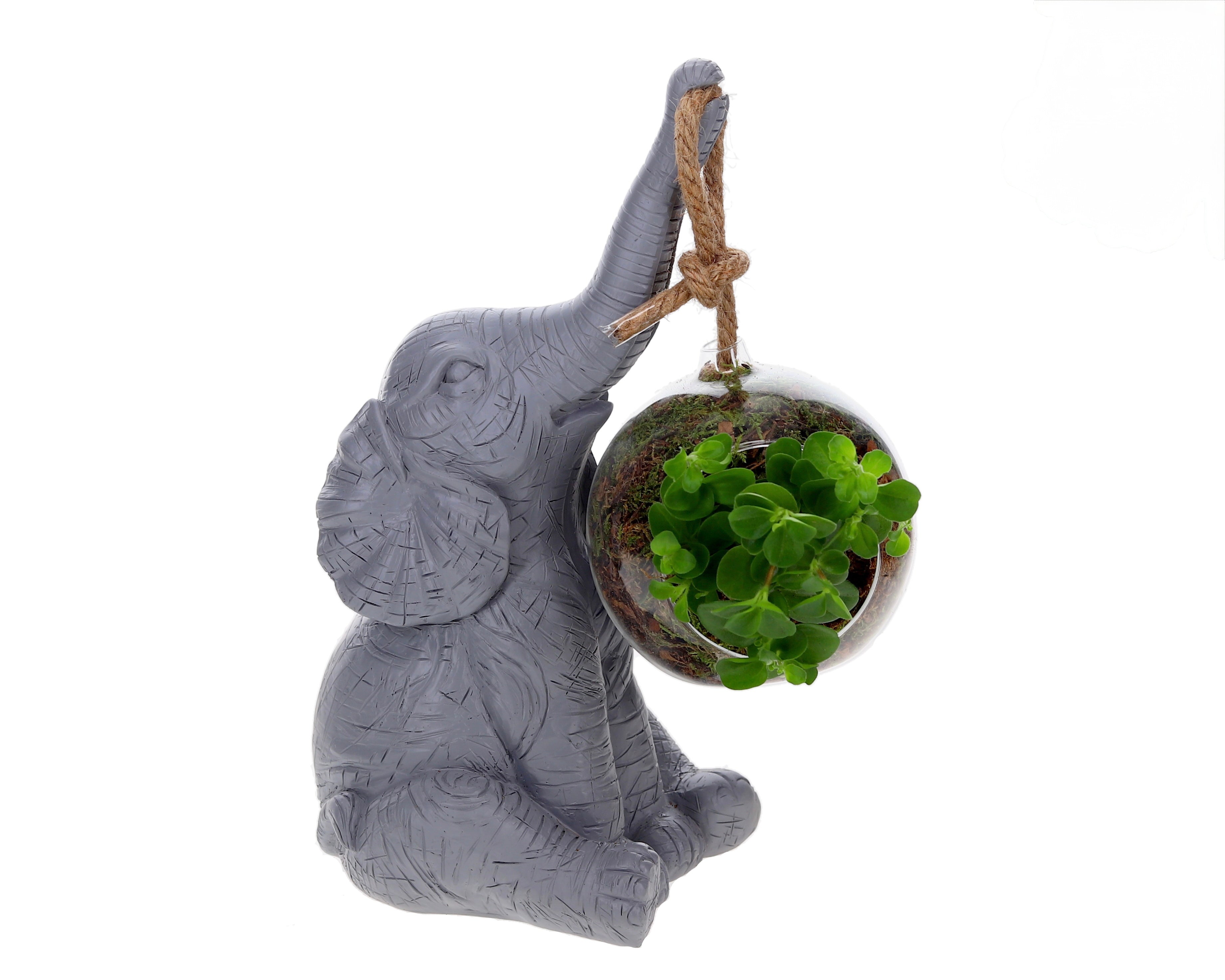 sfeer beeld olifant grijs
