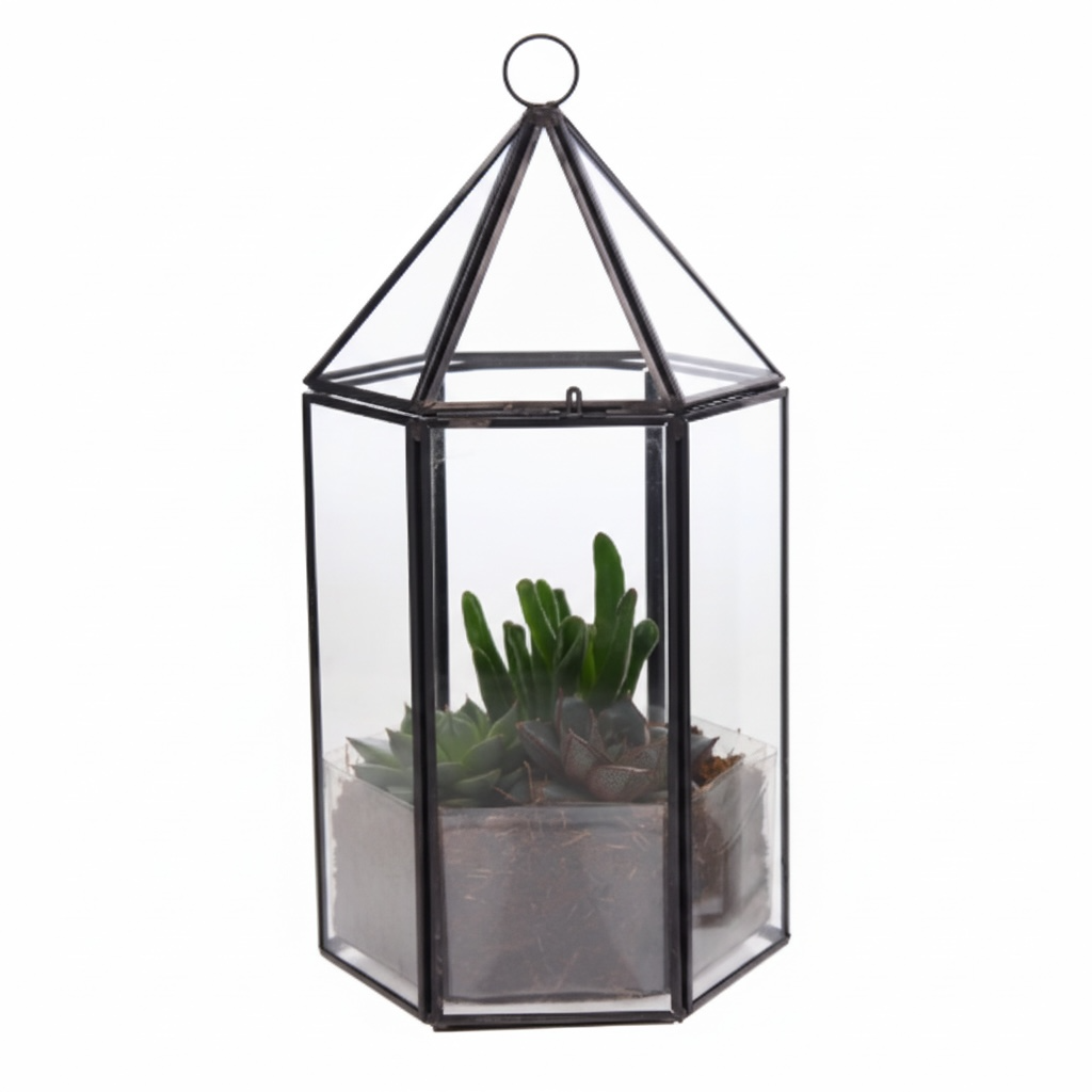 Semi terrarium met succulenten