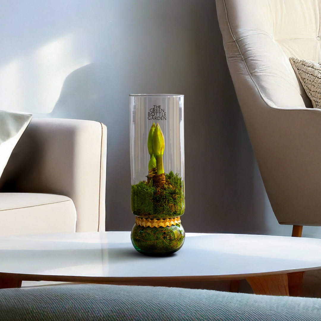 Duurzame Interieurdecoratie: Terrariums voor een Groenere Woonstijl