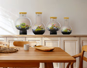 Terrarium gaat dood? 10 oorzaken én oplossingen