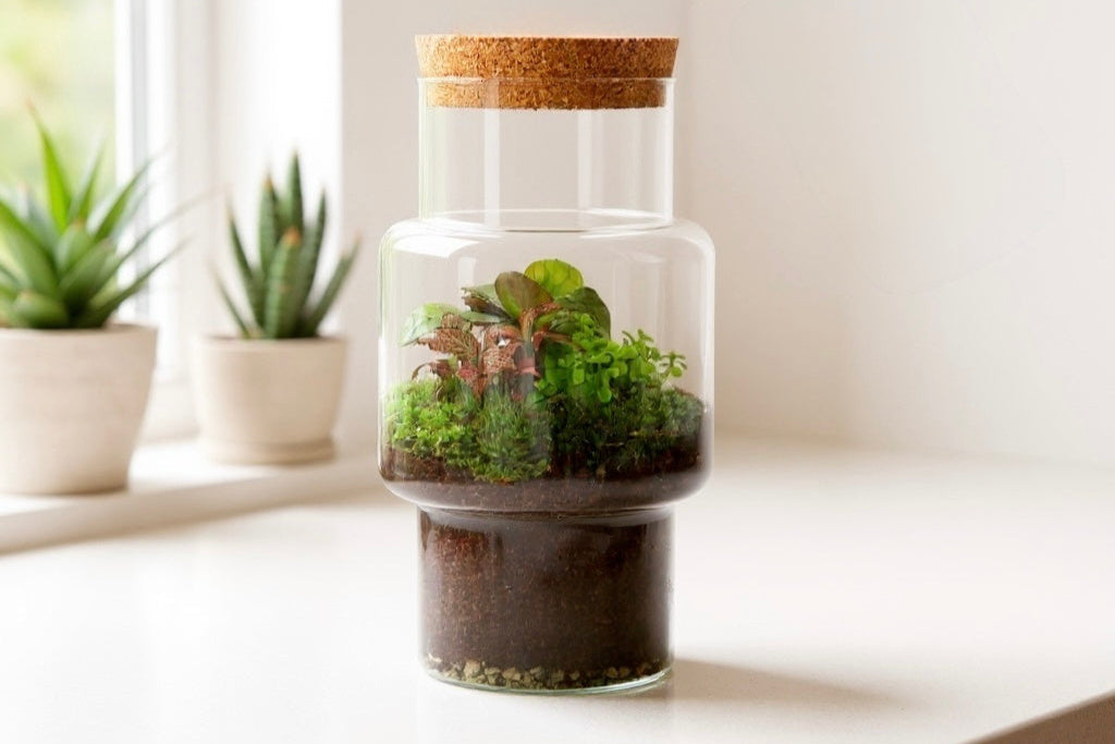 Diervriendelijke plant