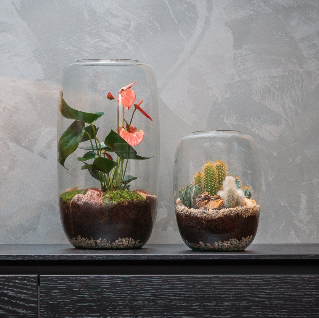 Relatiegeschenk voor Collega’s? Geef Groen van The Green Bottle Garden
