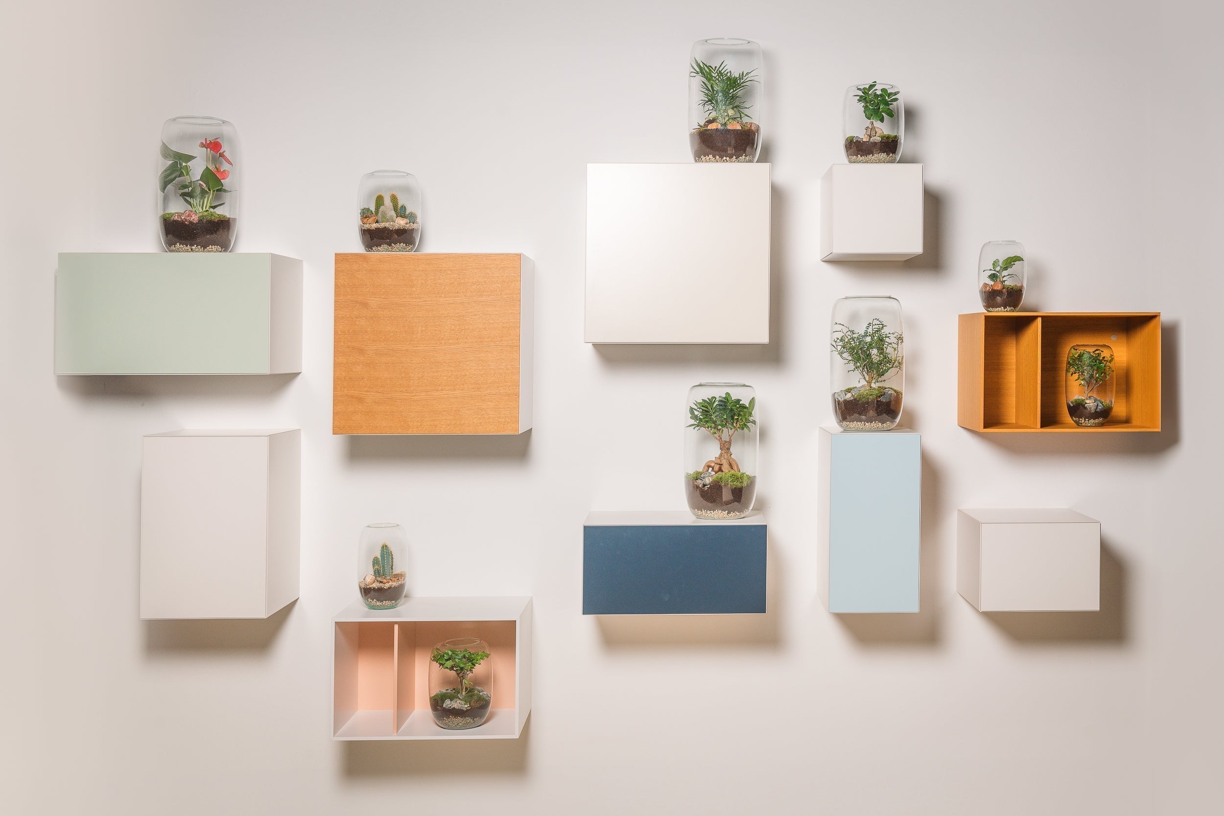 Verschillen terrariums