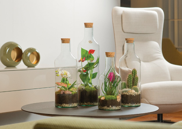 Terrarium Bottle water geven