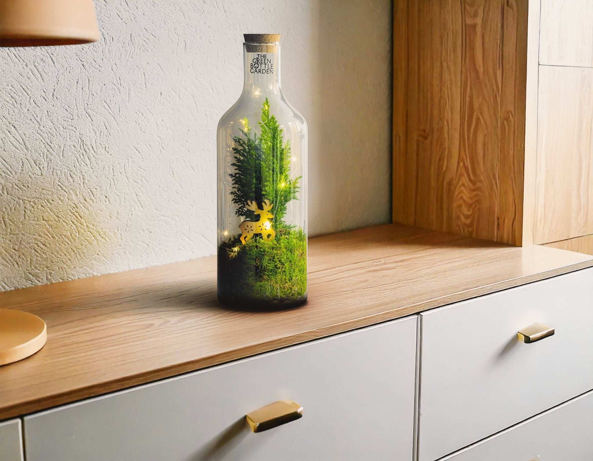 Terrarium Inspiratie: Klantverhalen en Projectvoorbeelden