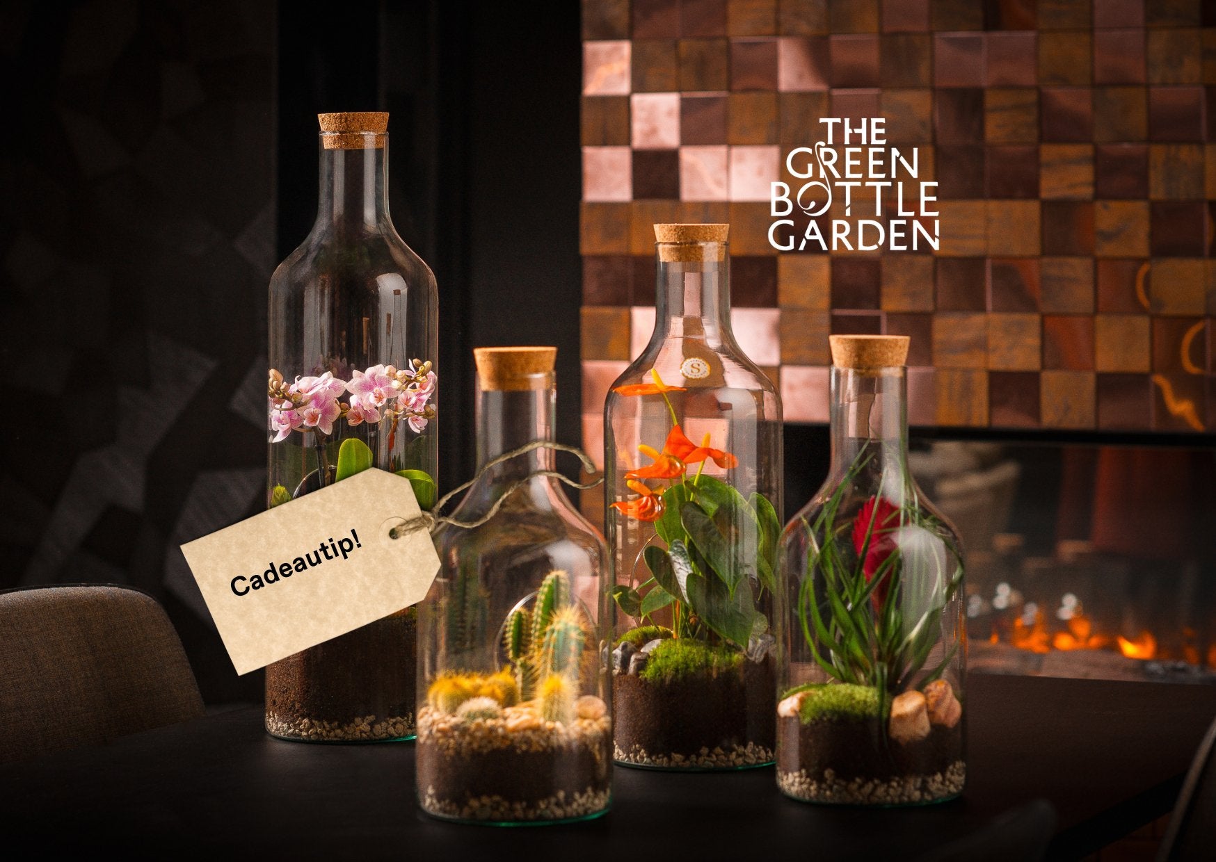 Cadeautip voor échte plantenliefhebbers: The Green Bottle Garden producten - The Green Bottle Garden