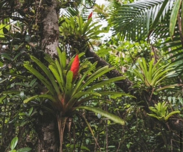 Tips voor jou groene Oase in huis