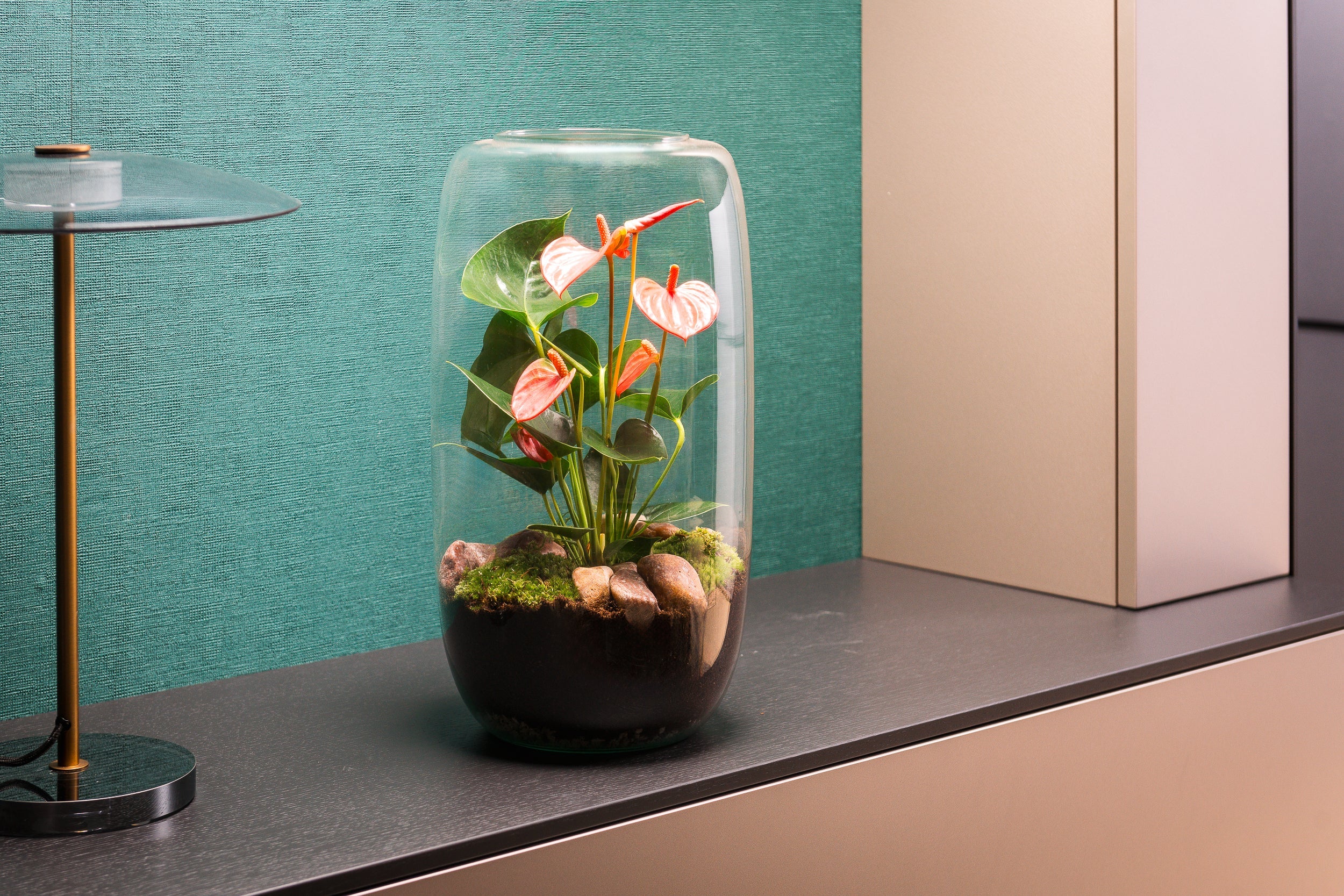 Terraria Bloeiend – Bloeiende kamerplant arrangement in glas