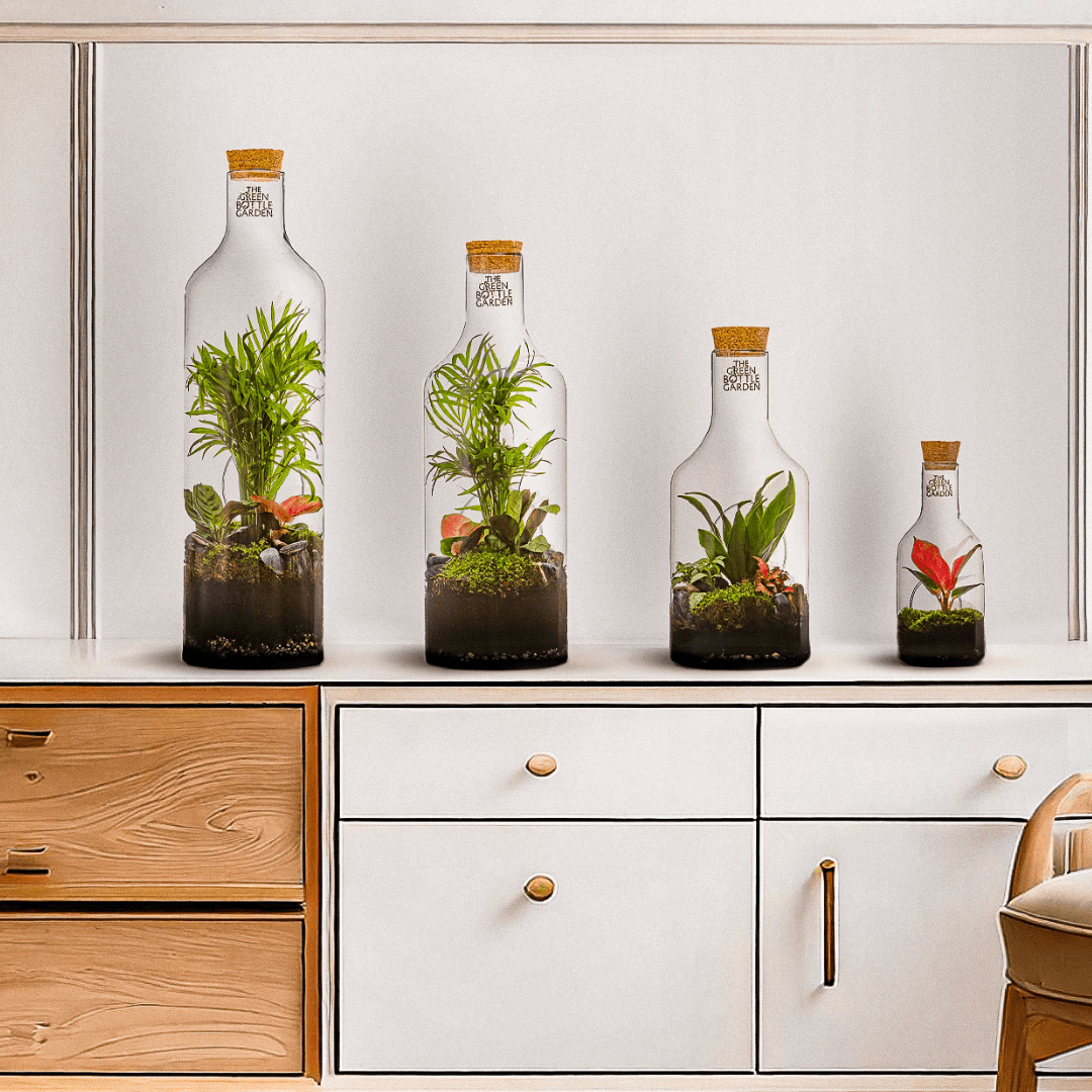 Alle Producten - The Green Bottle Garden