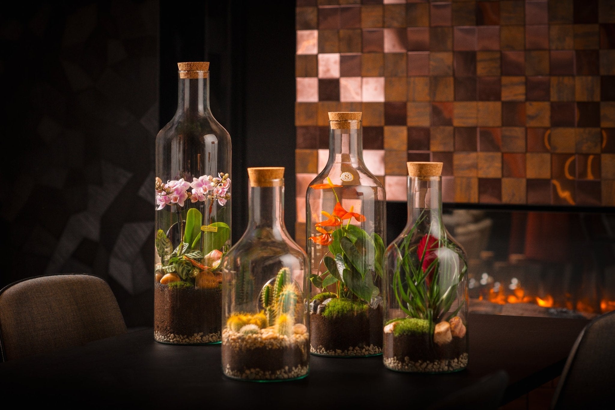 Collections – The Green Bottle Garden