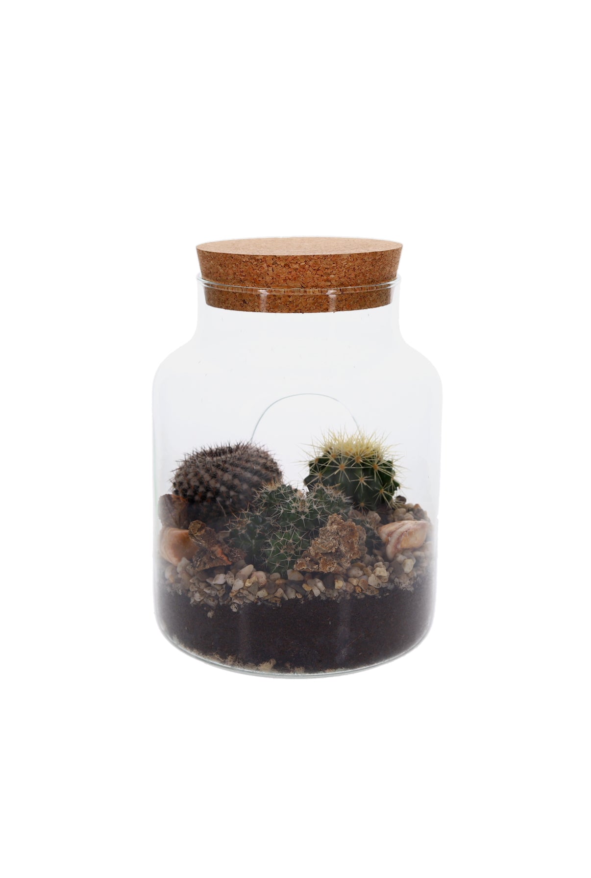 Cactussen is Terrarium Green Bottle