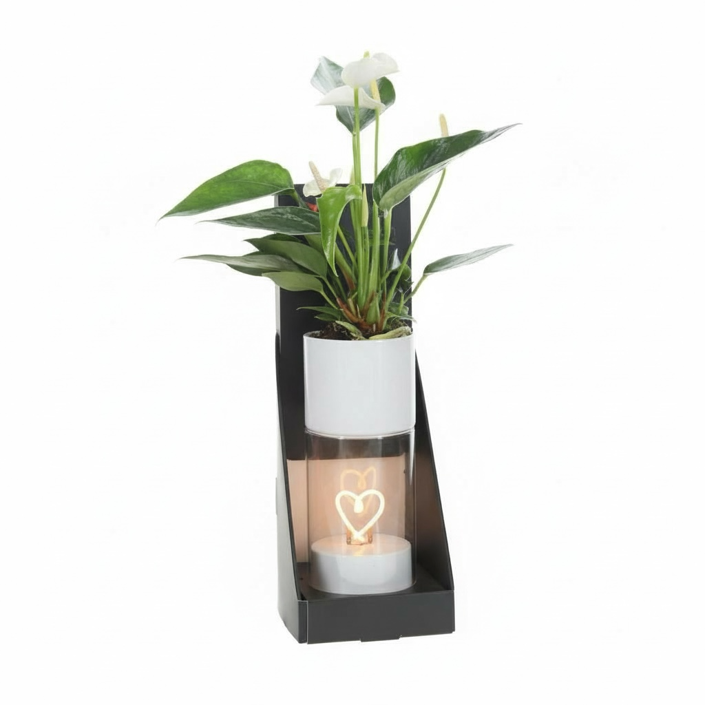 Anthurium in Heart of Love